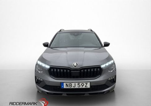 Skoda Kamiq, 2024 2