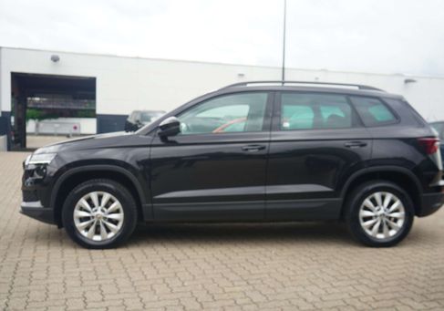 Skoda Karoq, 2024