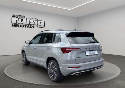 Skoda Karoq, 2023