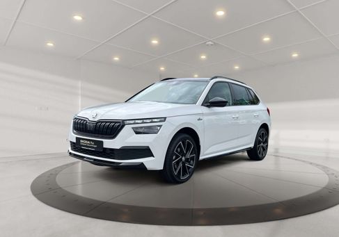 Skoda Kamiq, 2022 2