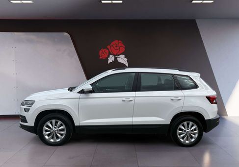 Skoda Karoq, 2019