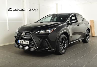 Lexus NX, 2024