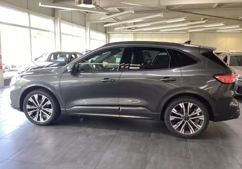 Ford Kuga, 2020