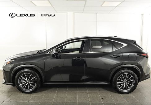 Lexus NX, 2024 2