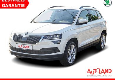 Skoda Karoq, 2020