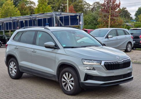 Skoda Karoq, 2024 3