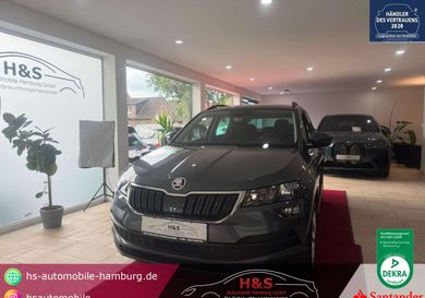 Skoda Karoq, 2020