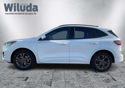 Ford Kuga, 2021