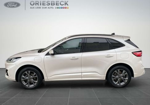 Ford Kuga, 2022