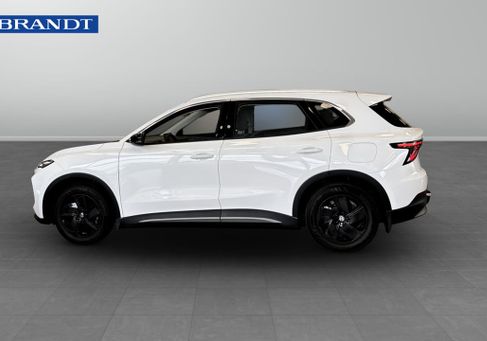 MG, 2025