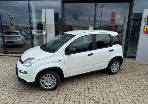Fiat Panda, 2024