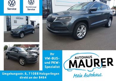 Skoda Karoq, 2021