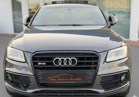 Audi SQ5, 2017