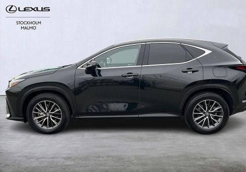 Lexus NX, 2023
