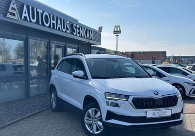 Skoda Karoq, 2024