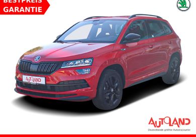 Skoda Karoq, 2019