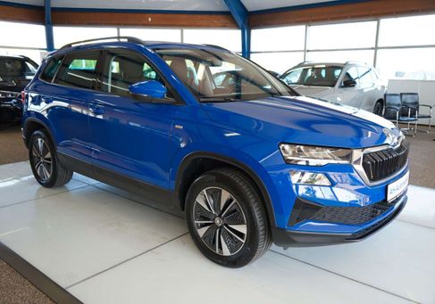 Skoda Karoq, 2022