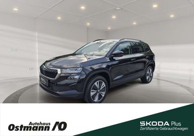 Skoda Karoq, 2022