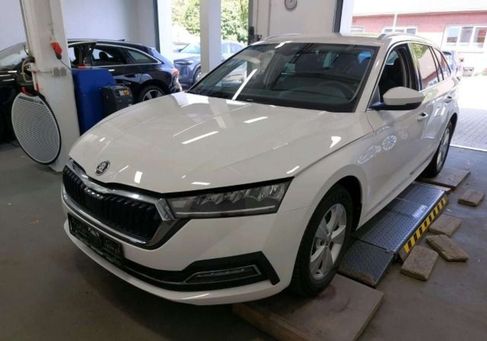 Skoda Octavia, 2024 2