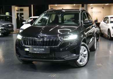 Skoda Karoq, 2023