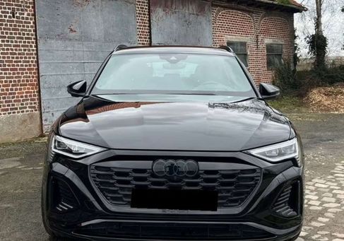 Audi Q8, 2024 2