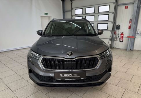 Skoda Karoq, 2019