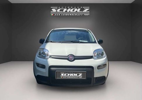 Fiat Panda, 2024