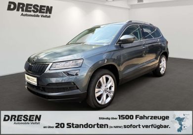 Skoda Karoq, 2020