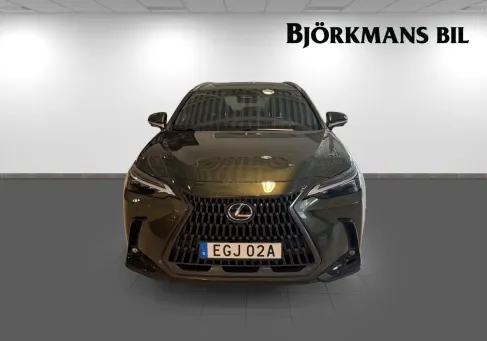 Lexus NX, 2023