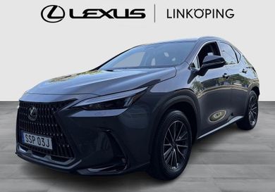 Lexus NX, 2025