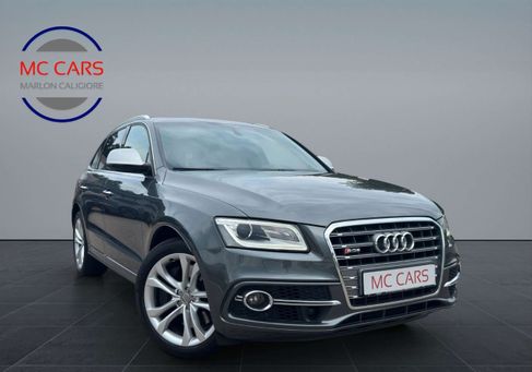 Audi SQ5, 2017