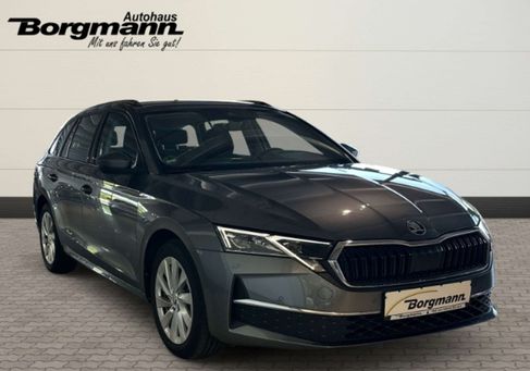 Skoda Octavia, 2025 3