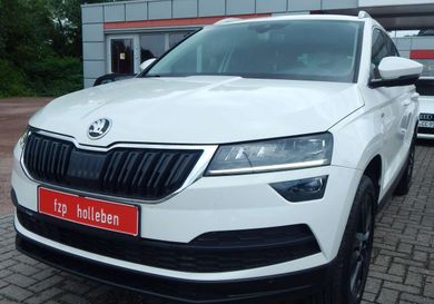 Skoda Karoq, 2020