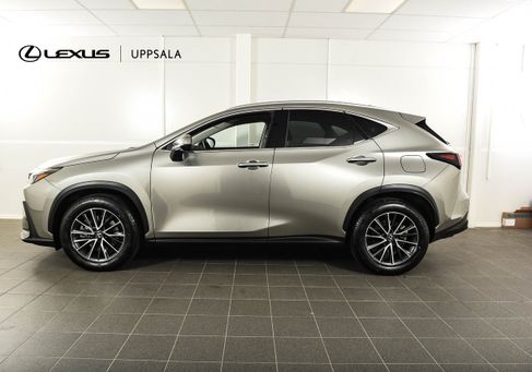 Lexus NX, 2025