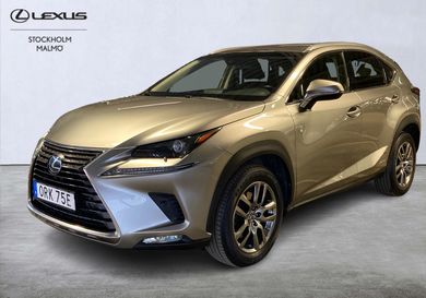 Lexus NX, 2019