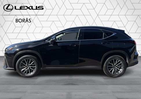 Lexus NX, 2025