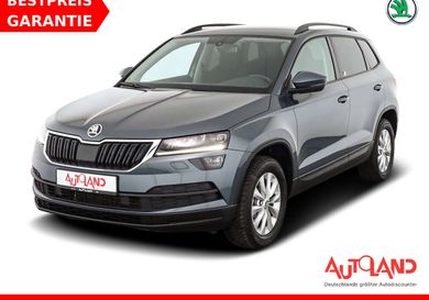 Skoda Karoq, 2020