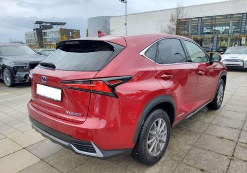 Lexus NX 300, 2021