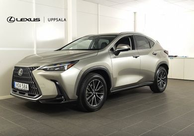 Lexus NX, 2025