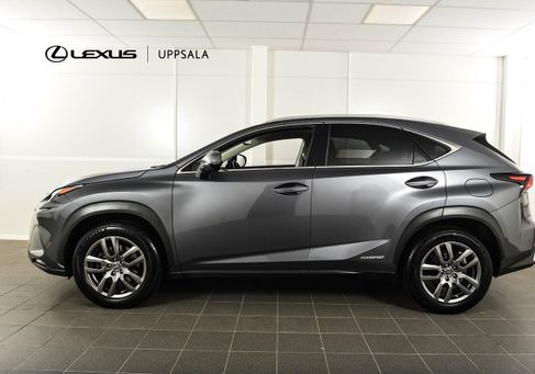 Lexus NX, 2018 2