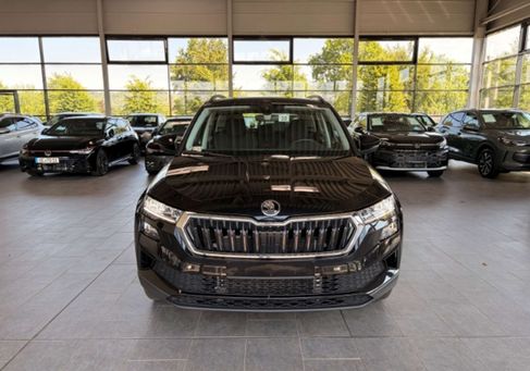 Skoda Karoq, 2025