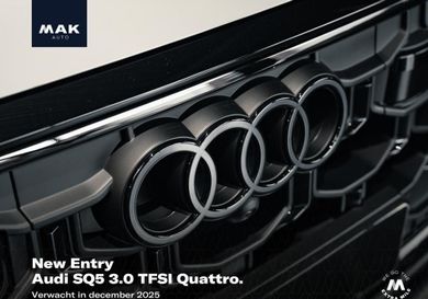 Audi SQ5, 2025