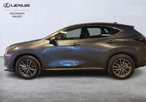 Lexus NX, 2025