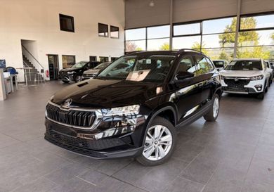 Skoda Karoq, 2025