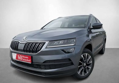 Skoda Karoq, 2020