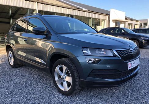 Skoda Karoq, 2019