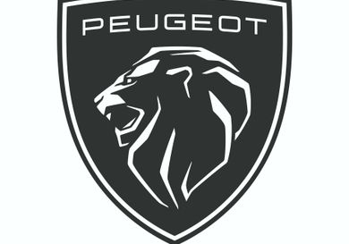 Peugeot Rifter, 2019