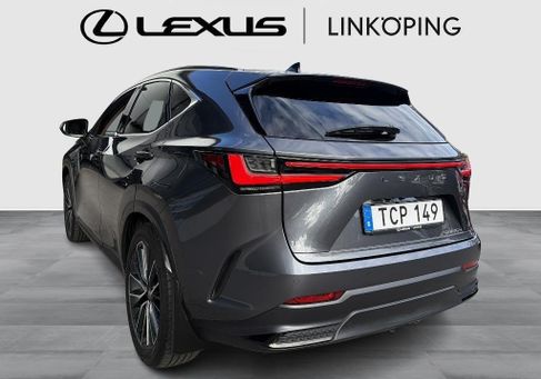 Lexus NX, 2023 2