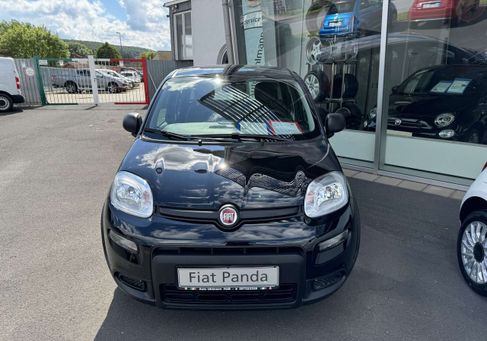 Fiat Panda, 2024