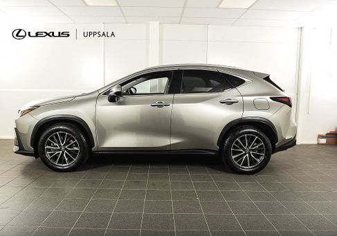Lexus NX, 2025